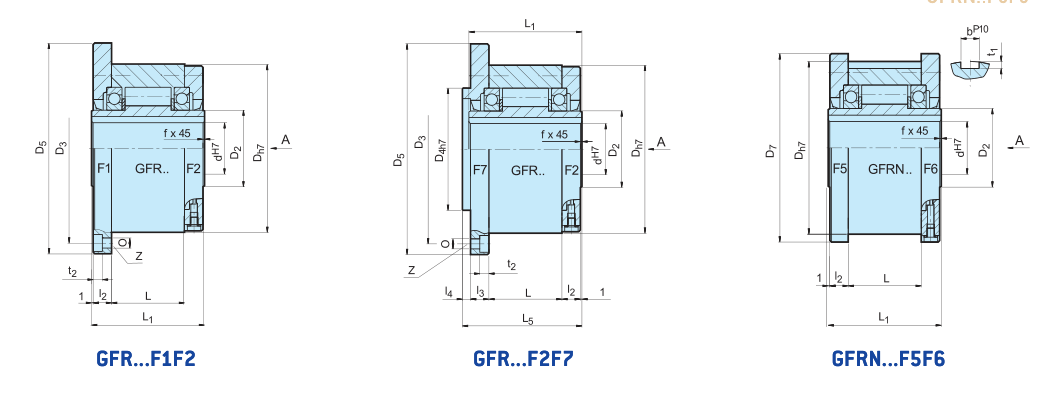 Different types of Backstop clutch GFRNF5F6