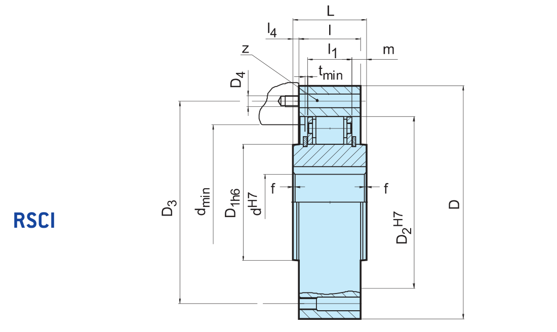 Different Sizes of RSCI 180-300 Overrunning Clutch Bearing Gearbox Clutch