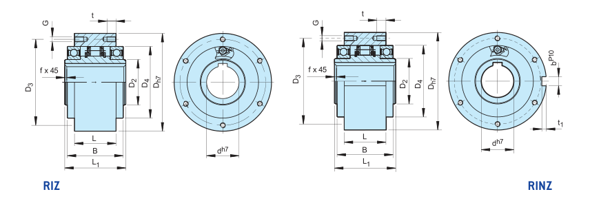 Different types of Freewheel Overrunning Clutch RIZ RINZ