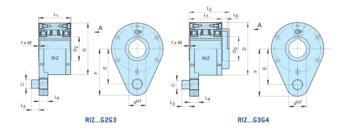 Different types of Backstop freewheel clutch RIZ...G2G3 RIZ...G3G4