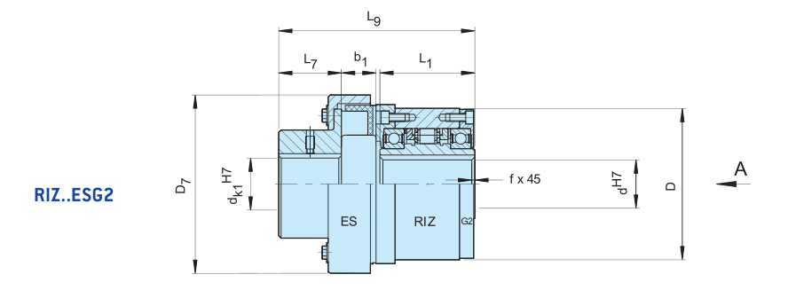 Sizes of Indexing Freewheel Clutch RIZ...ESG2