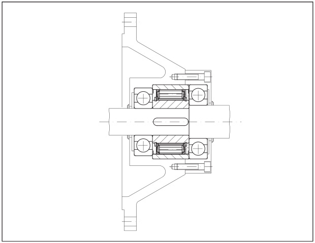 Structural drawing of Internal Freewheels FXN