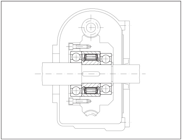 Composition Diagram of Internal Freewheels FXN