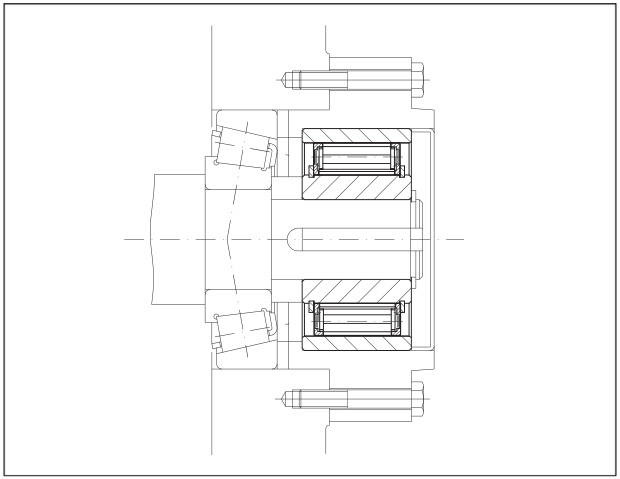 Internal view of the Internal Freewheels FXN