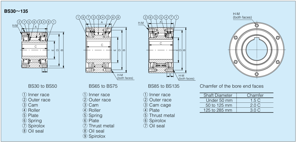 Structural drawing of BS & BS-HS Cam Clutch Bearing