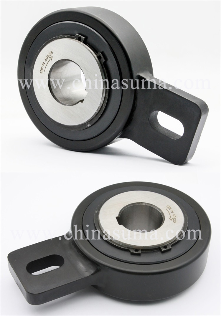 Product display of Cam clutch(backstop)RSBW