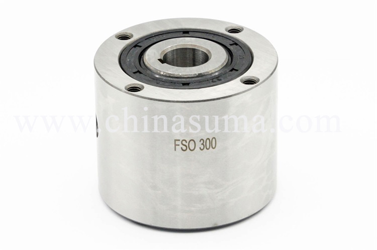 Product display of One way clutch FSO300-700