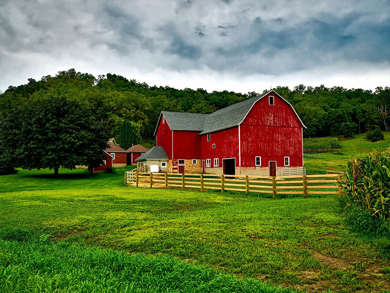 Bearing products for Farm & Agriculture