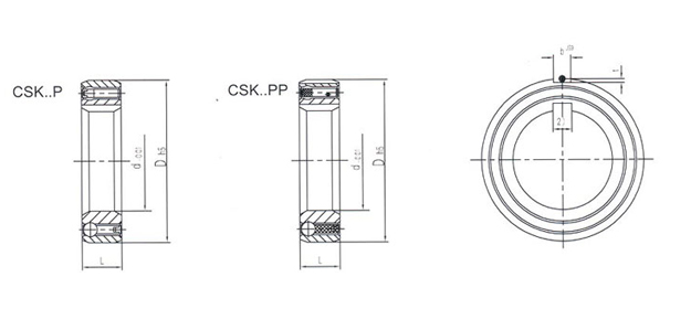 Different types of CSK...P CSK...PP Sprag One Way Bearing